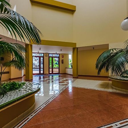Olivia Free Wifi Apartment Puerto de Santiago  Ngoại thất bức ảnh